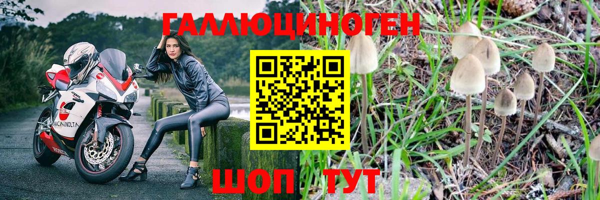 Муром  Псилоцибиновые грибы Psilocybe  Вход с VPN 