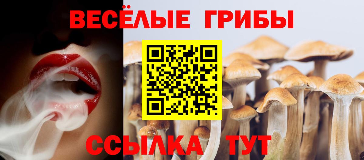 Псилоцибиновые грибы прущие грибы Муром